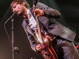 Puggy - Forest N